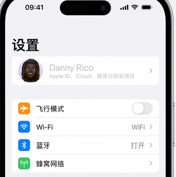 卓尼appleID维修服务iPhone设置中Apple ID显示为灰色无法使用