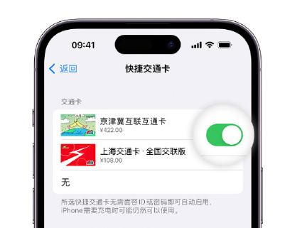 卓尼apple维修点分享iPhone上更换Apple Pay快捷交通卡手绘卡面 