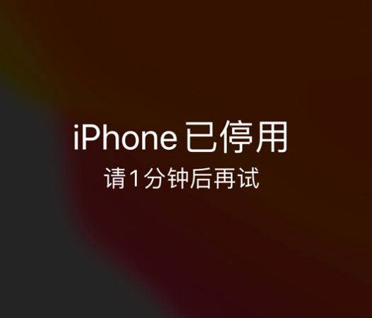 卓尼苹果手机维修分享:iPhone 显示“不可用”或“已停用”怎么办？还能保留数据吗？ 