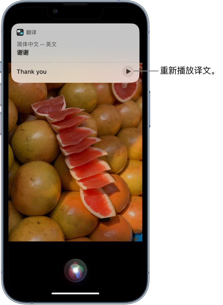 卓尼苹果14维修分享 iPhone 14 机型中使用 Siri：了解 Siri 能帮你做什么 