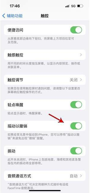 卓尼苹果手机维修分享iPhone手机如何设置摇一摇删除文字 